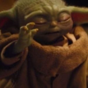 Meet your Posher, Hondaqueen